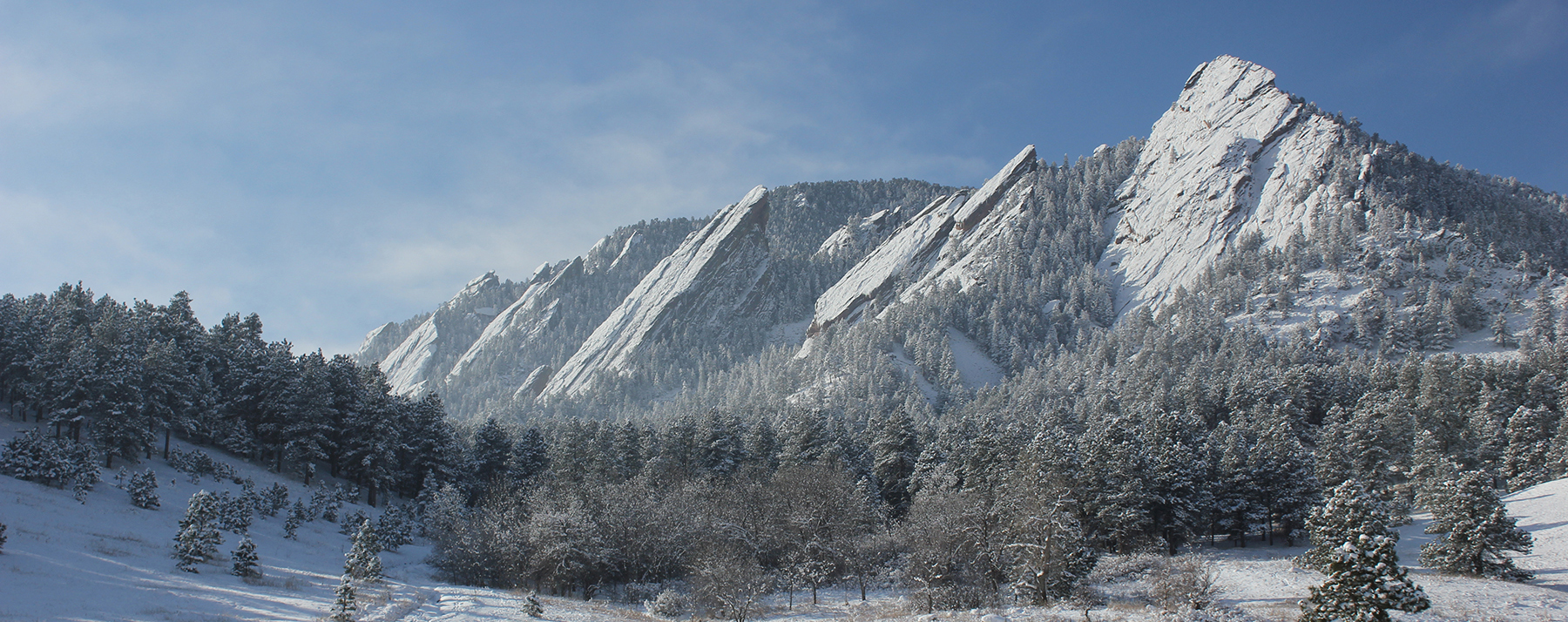 Land Title Supports Boulder Community With Donation to Wildfire Fund